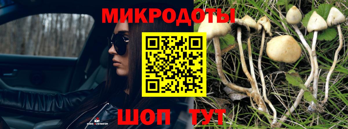 Галлюциногенные грибы GOLDEN TEACHER Ханты-Мансийск