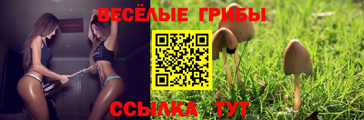 Ханты-Мансийск  Галлюциногенные грибы Psilocybine cubensis  где купить наркоту  Вход с VPN 